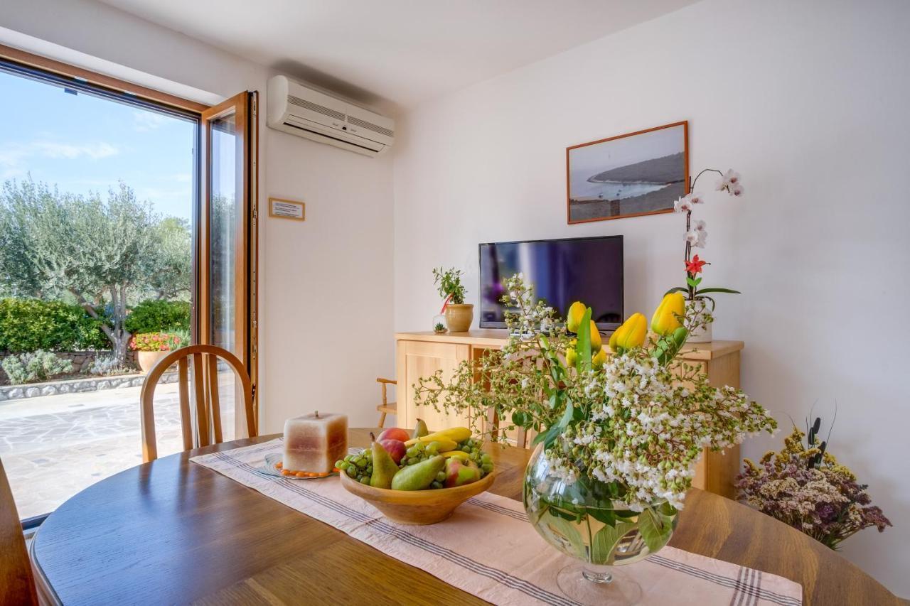 Franjo Apartment