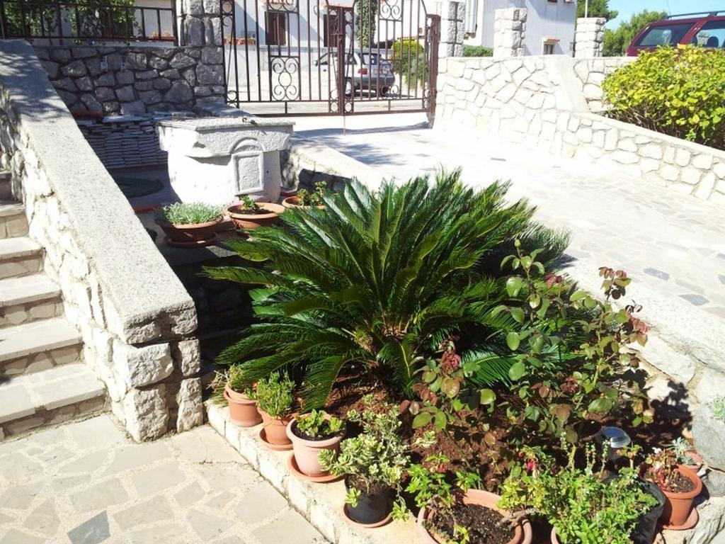 Franjo * Mali Losinj