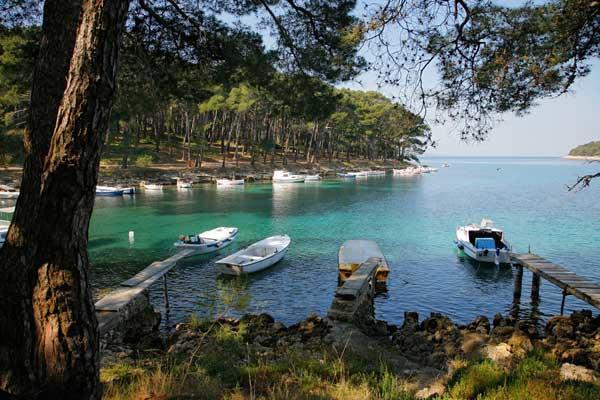 Apartment Franjo Mali Losinj